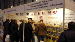 Targi ExpoGołębie 2016